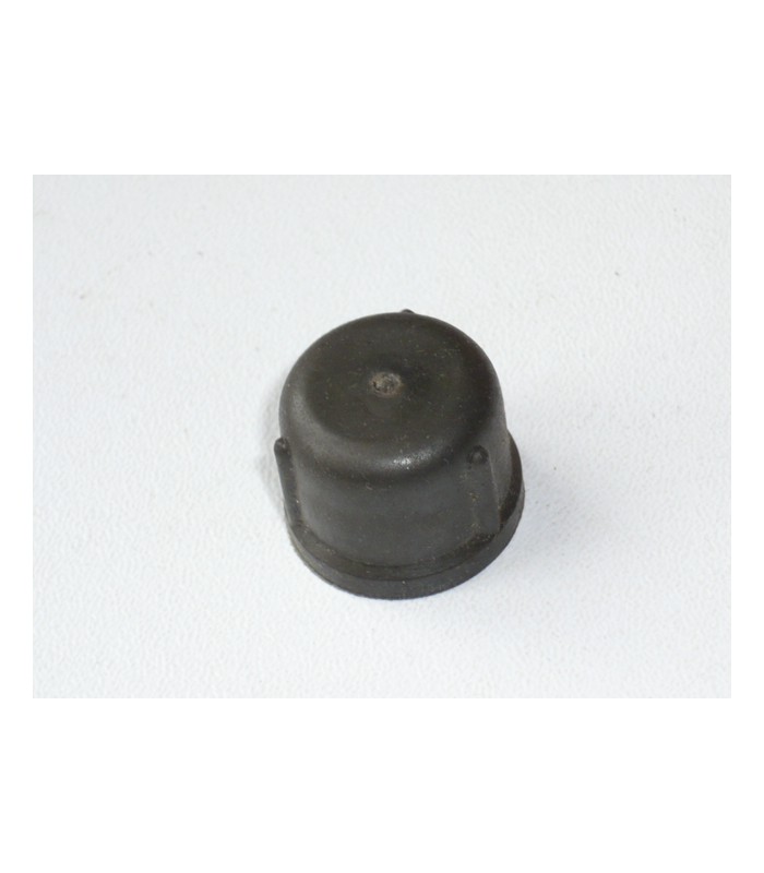 Gun cap