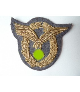 LW pilot badge