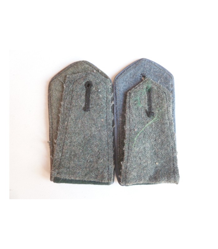 Volontaires de l'Est dans la Wehrmacht