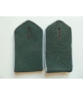 Voluntarios del Este en la Wehrmacht