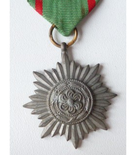 Oosterse vrijwilligers