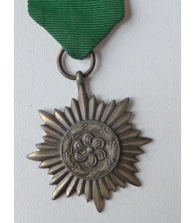 Oosterse vrijwilligers