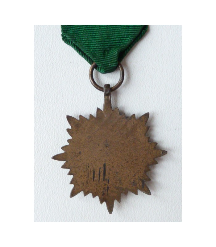 Volontaires de l'Est