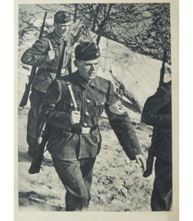 Postkarte, NSDAP-Formationen