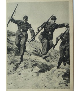 Postal, formaciones NSDAP