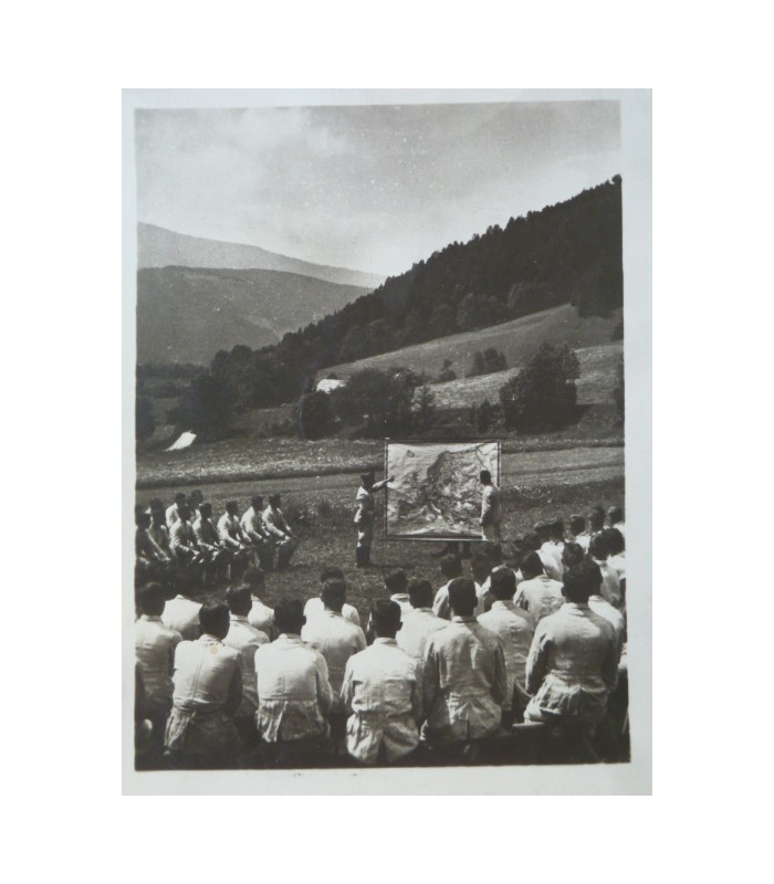 Cartes postales - Formations du NSDAP