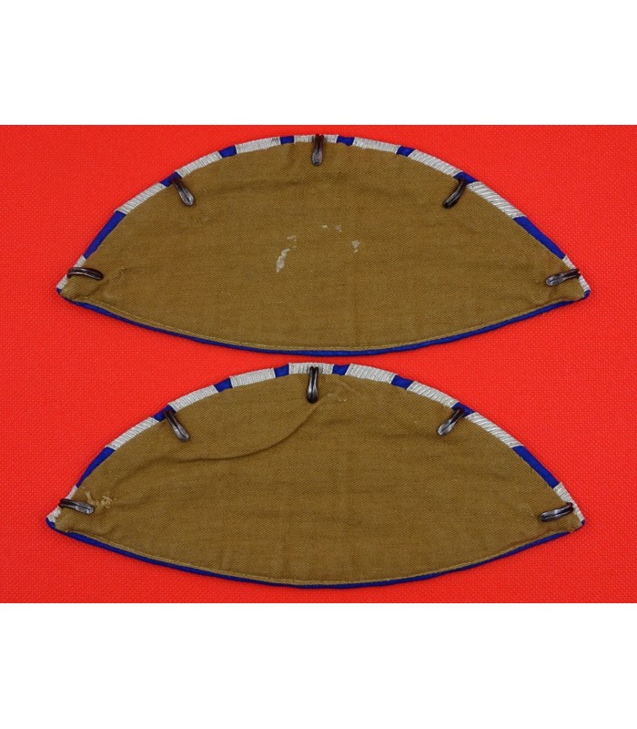 Nids d'hirondelle de musicien