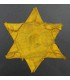 Estado francés - Estrella amarilla