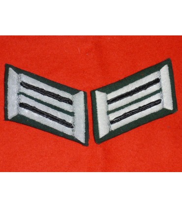 Pestañas del cuello