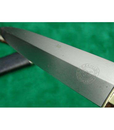 DLV - Asociación Alemana de Deportes de Aviación