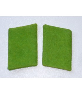 Pestañas del cuello