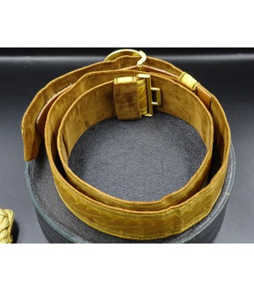 Politiek leider van de NSDAP