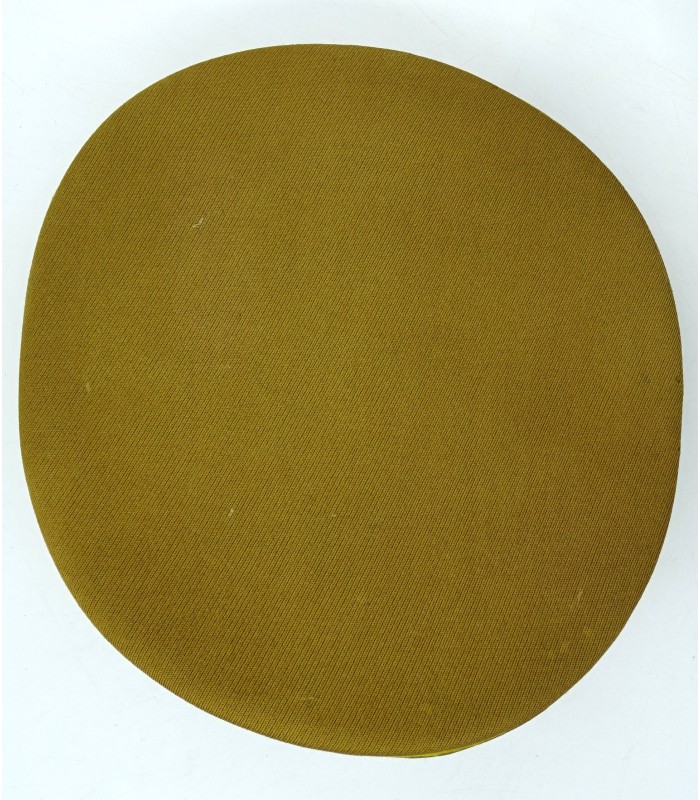 Politischer Leiter du NSDAP