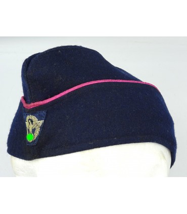 Vigili del fuoco del Reich