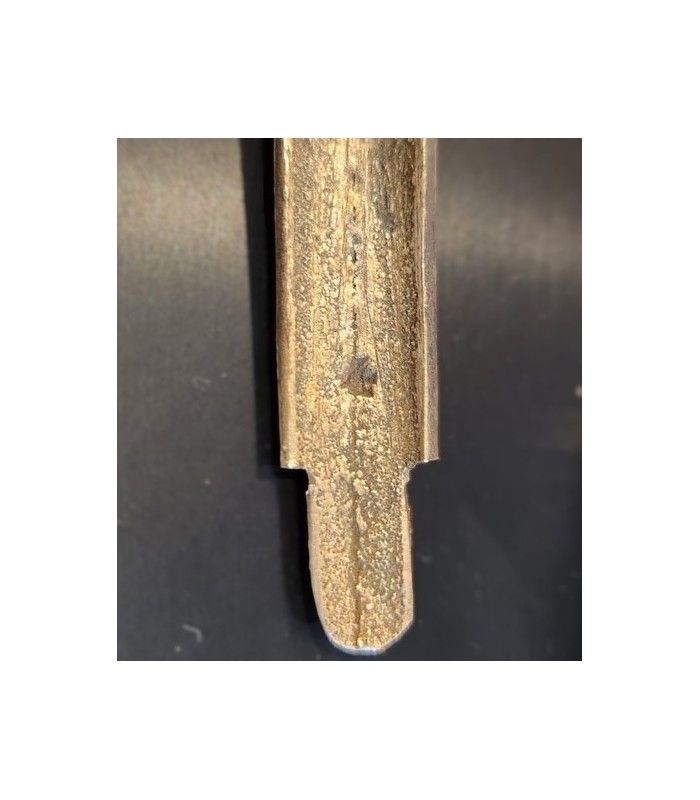 Haute administration