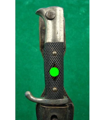 NS-studentenvereniging