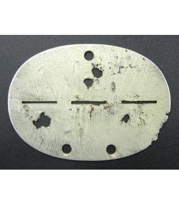 WH motorised artillery