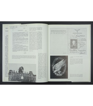 Luftwaffe - Fallschirmjäger