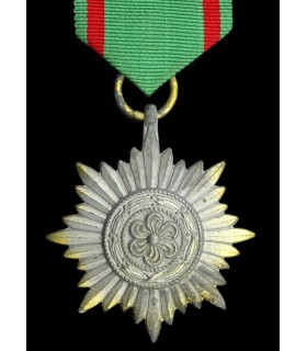 Médaille des volontaires de l'Est