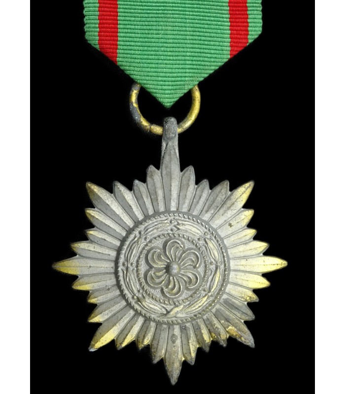 Eastern volonteer medal