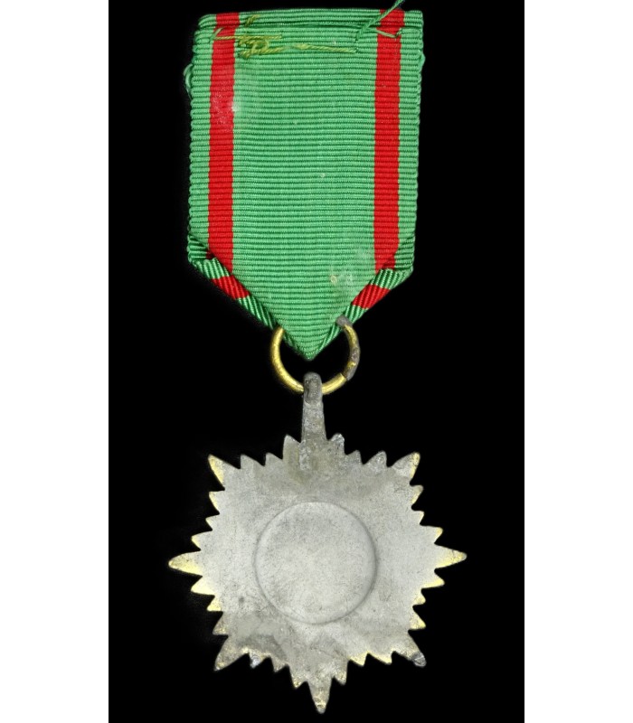Médaille des volontaires de l'Est