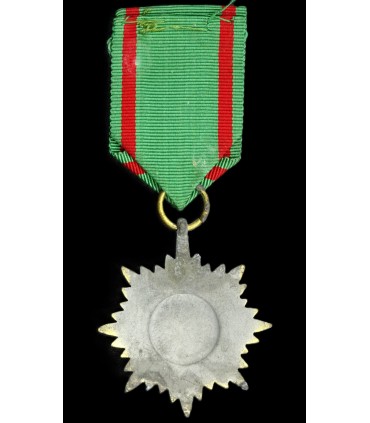 Medaille voor oostelijke vrijwilligers