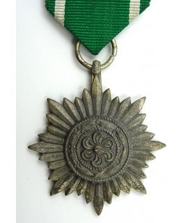 Medalla de los Voluntarios del Este