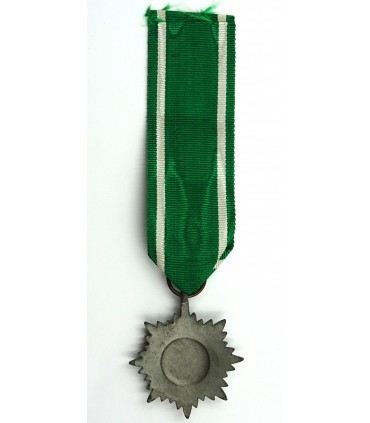 Eastern volonteer medal