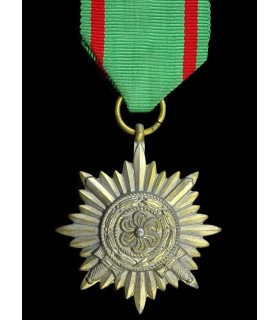 Medalla de los Voluntarios del Este
