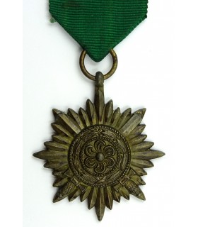 Médaille des volontaires de l'Est