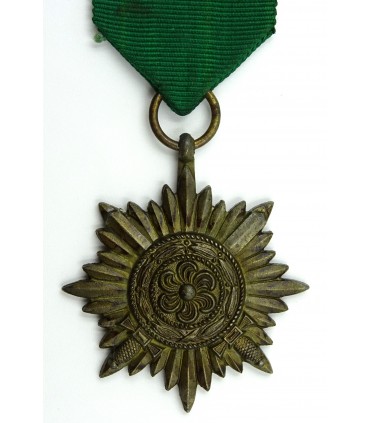 Eastern volonteer medal