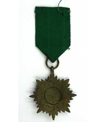 Eastern volonteer medal