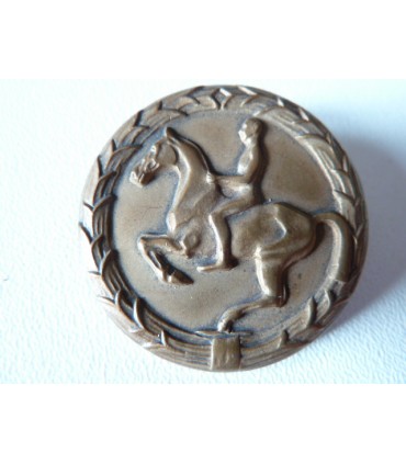 Young rider insignia