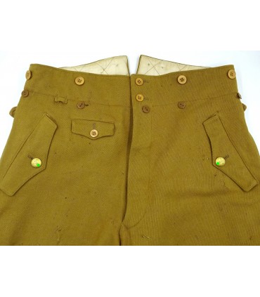 Politiek leider van de NSDAP