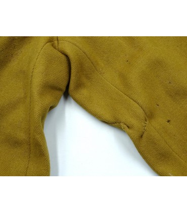 Politiek leider van de NSDAP