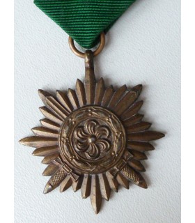 Oosterse vrijwilligers