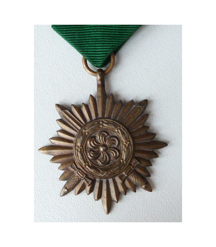 Volontaires de l'Est