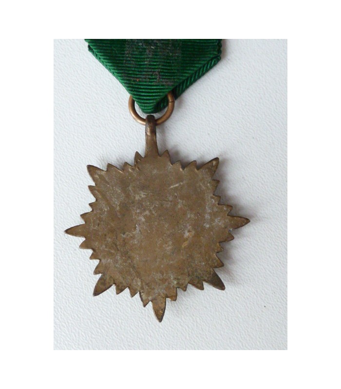 Volontaires de l'Est