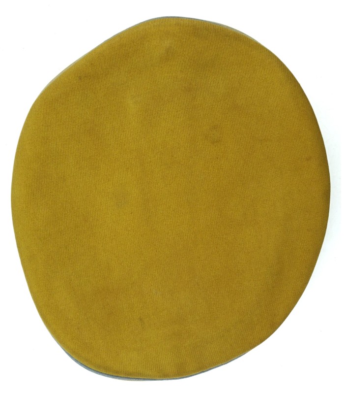 NSDAP Politischer Leiter