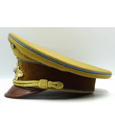 NSDAP - Politiek leider