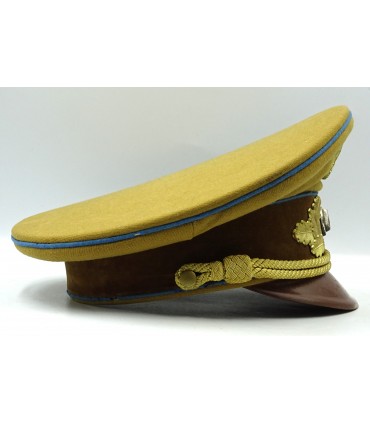 NSDAP - Politiek leider