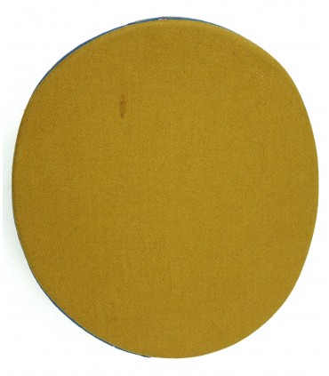 NSDAP - Líder político