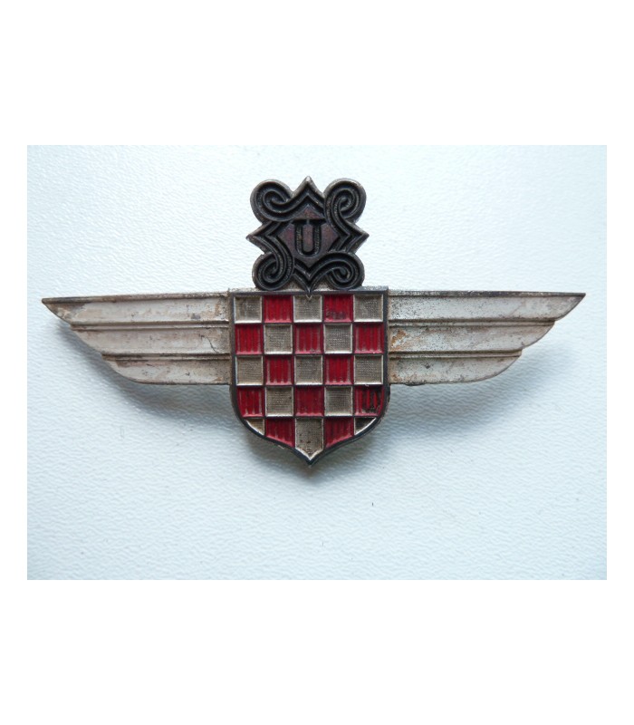 Pilot badge