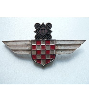 Pilot badge