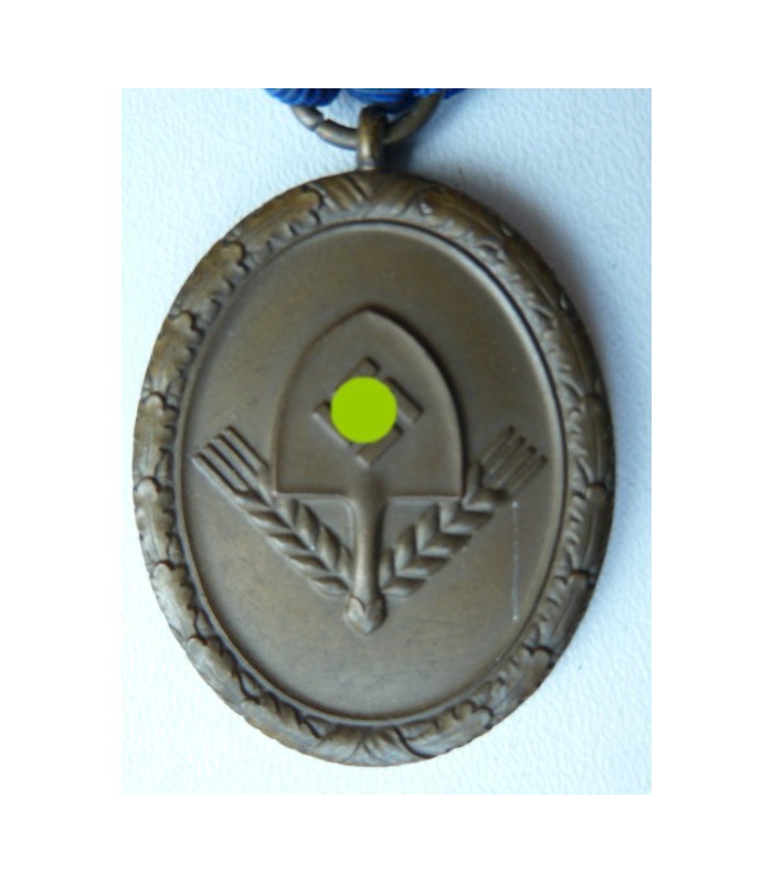 RAD long service medal