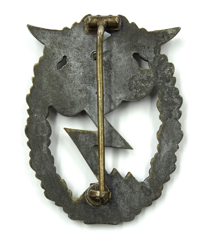 LW ground attack badge