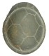 WH M42 helmet with wire