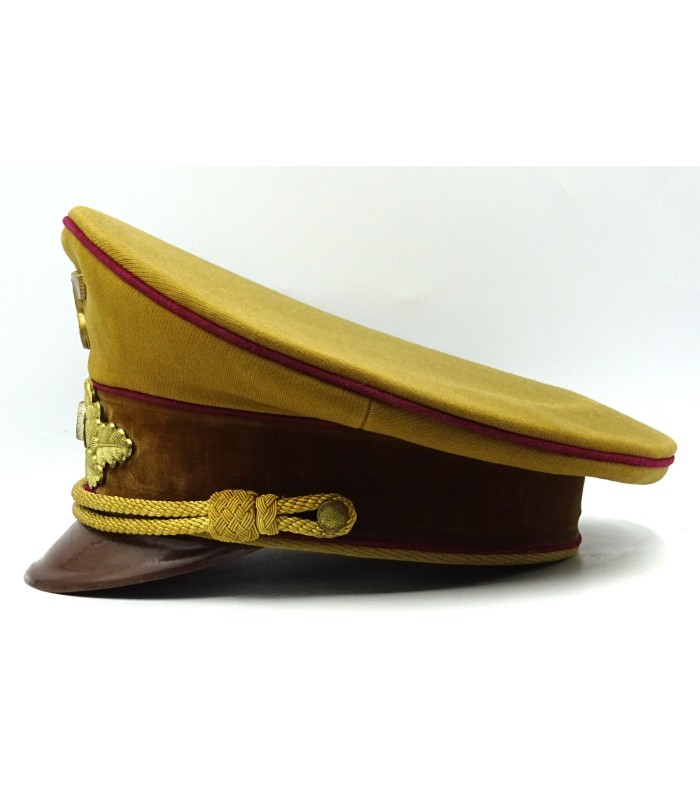 Casquette de Politischer Leiter dans le NSDAP