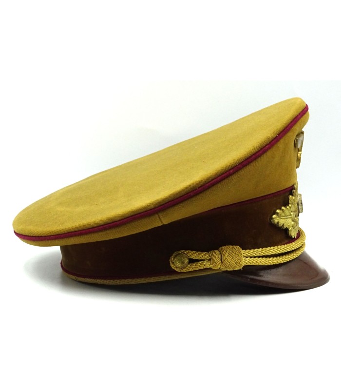 Casquette de Politischer Leiter dans le NSDAP
