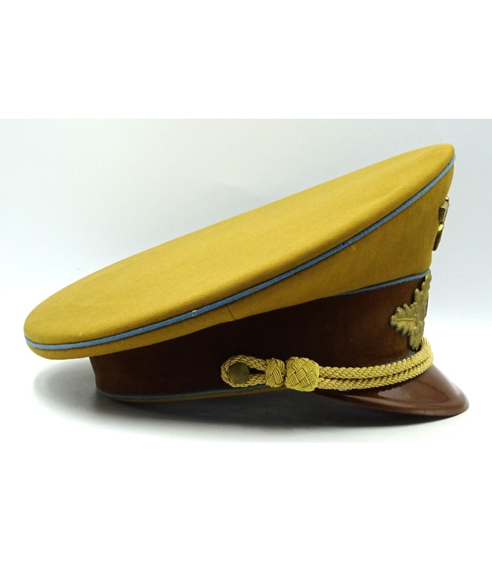 Casquette de Politischer Leiter dans le NSDAP